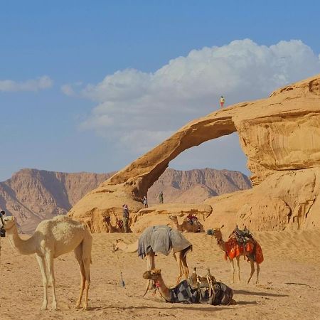Wadi Rum Desert Camp المظهر الخارجي الصورة