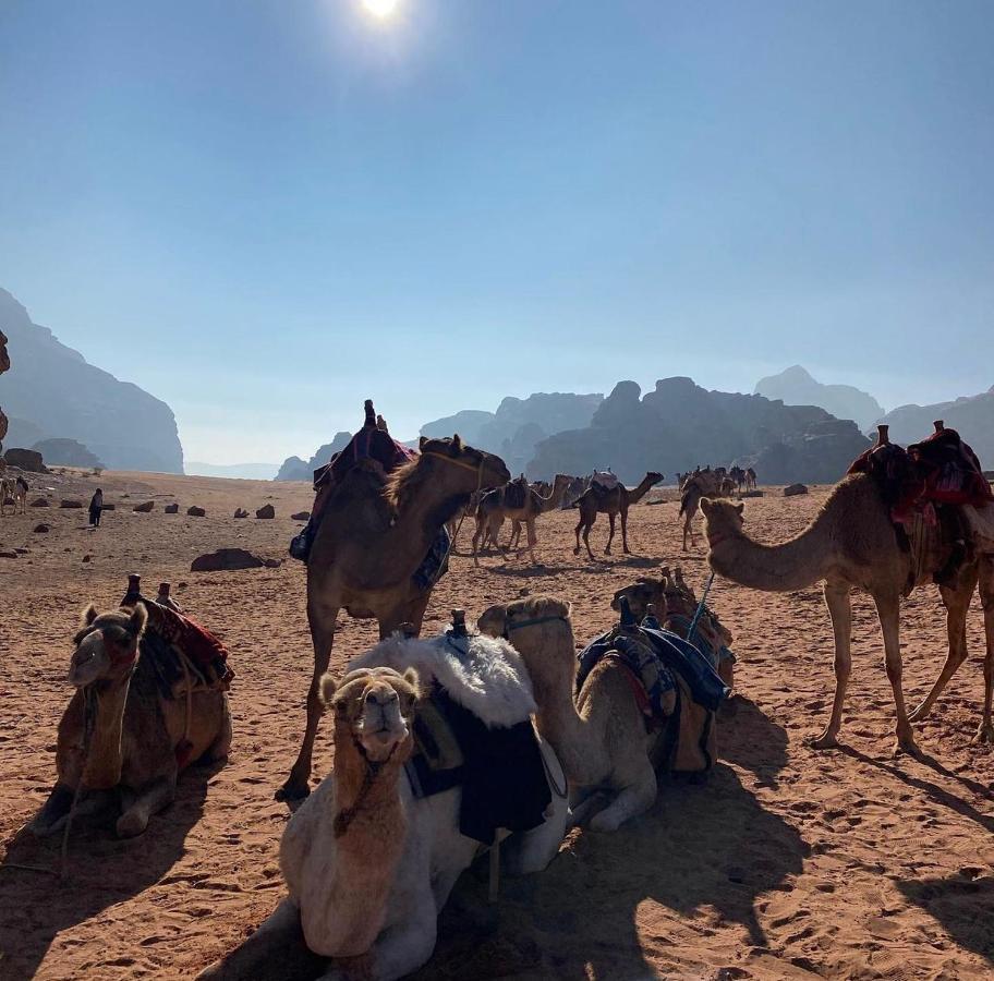Wadi Rum Desert Camp المظهر الخارجي الصورة