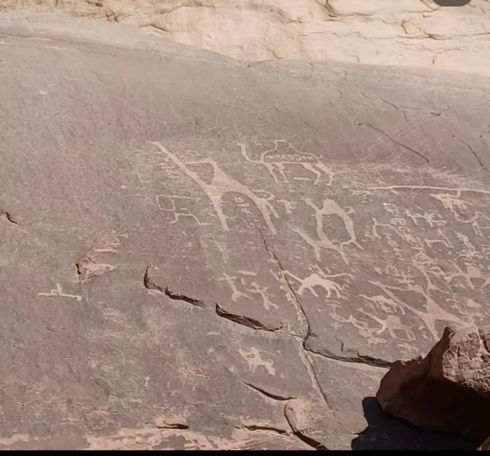 Wadi Rum Desert Camp المظهر الخارجي الصورة