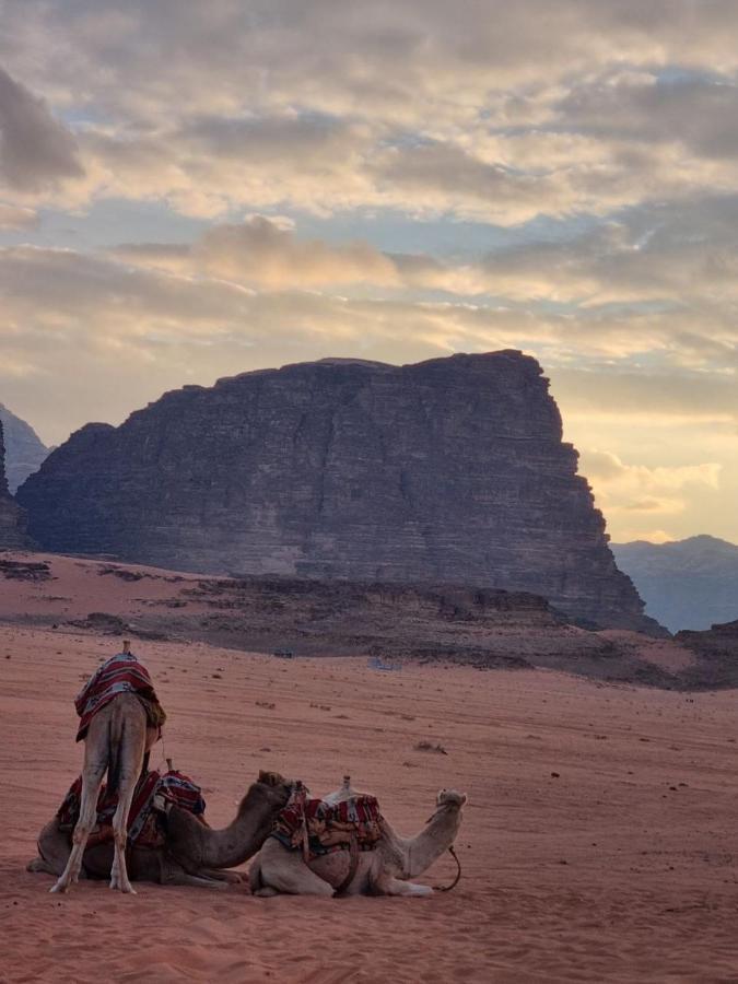 Wadi Rum Desert Camp المظهر الخارجي الصورة
