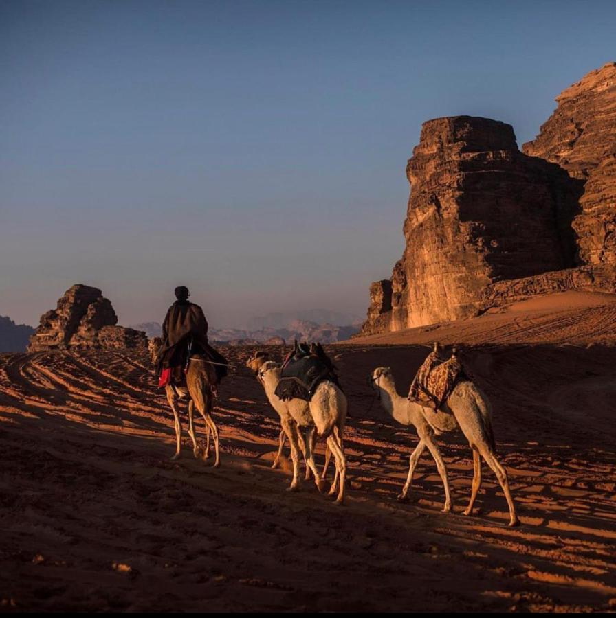 Wadi Rum Desert Camp المظهر الخارجي الصورة