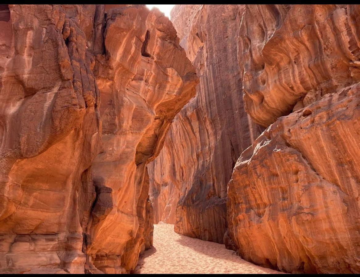 Wadi Rum Desert Camp المظهر الخارجي الصورة
